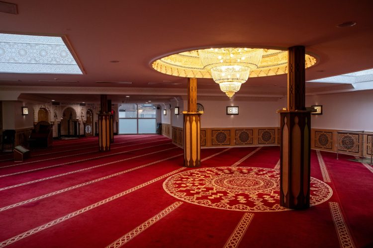 WhatsApp Image 2026-02-16 at 16.25.05